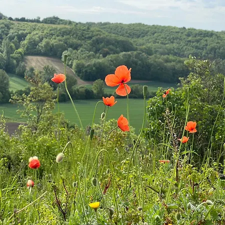 Le Perchoir 招待所 *