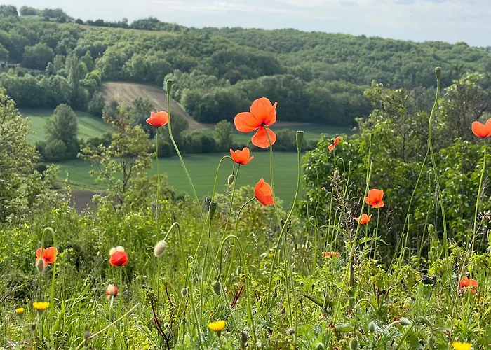 Le Perchoir Gasthof *